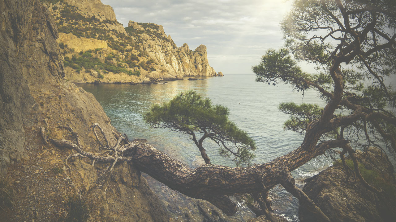 Standard gallery post