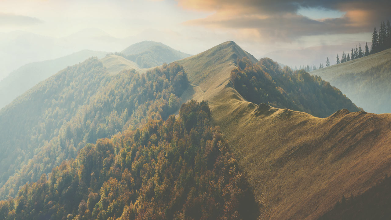 Standard gallery post